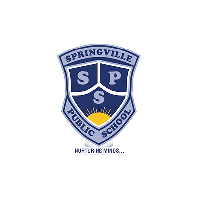 Re Nutech Solutions Social Media Marketing Client Spring Villy School